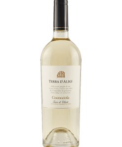 Terra d’Aligi – 2024 Terre di Chieti IGT Cococciola (Vino Bianco) – cl 75 x 1 bottiglia vetro