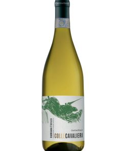 Tollo, Colle Cavalieri – 2022 Trebbiano d’Abruzzo DOP (Vino Bianco) – cl 75 x 1 bottiglia vetro