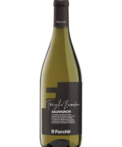 Forchir, Famiglia Bianchini – 2021 Friui DOC Sauvignon (Vino Bianco) – cl 75 x 1 bottiglia vetro