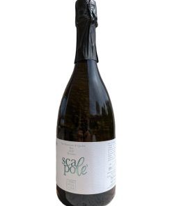 Terra Argillosa, Scapole Biologico – 2020 Offida DOCG Pecorino, Brut (Vino Spumante) – cl 75 x 1 bottiglia vetro