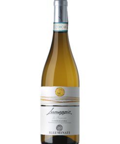 Illuminati, Lumeggio di Bianco – 2023 Controguerra DOC (Vino Bianco) – cl 75 x 1 bottiglia vetro