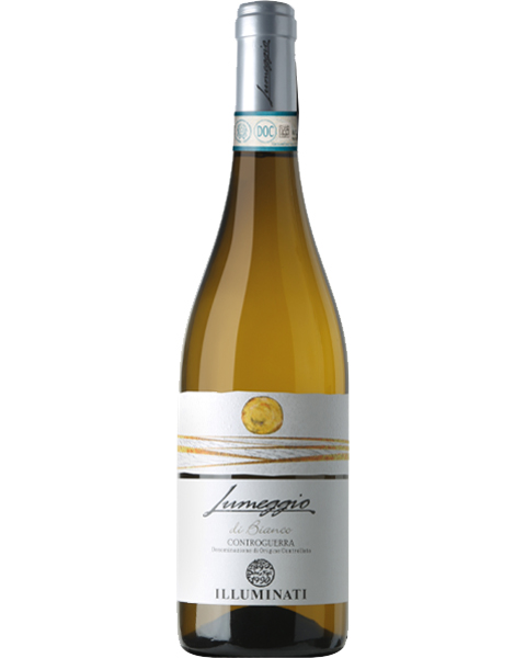 Illuminati, Lumeggio di Bianco – 2023 Controguerra DOC (Vino Bianco) – cl 75 x 1 bottiglia vetro