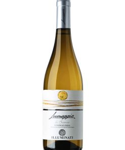 Illuminati, Lumeggio di Bianco – 2024 Controguerra DOC (Vino Bianco) – cl 75 x 1 bottiglia vetro