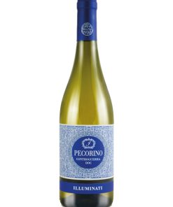 Illuminati – 2024 Controguerra DOC Pecorino (Vino Bianco) – cl 75 x 1 bottiglia vetro