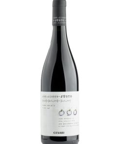 Cesari, Justo – 2021 Veneto IGT Rosso (Vino Rosso) – cl 75 x 1 bottiglia vetro