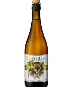 Lupulus – Tripel, Belgian Strong Golden Ale – cl 75 x 1 bottiglia vetro