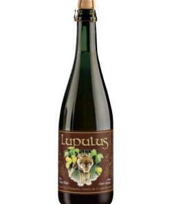 Lupulus – Brune, Belgian Dark Strong Ale – cl 75 x 1 bottiglia vetro