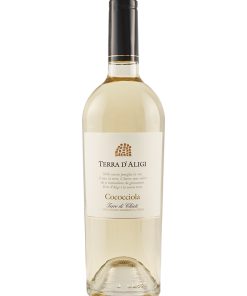 Terra d’Aligi – 2021 Terre di Chieti IGT Cococciola (Vino Bianco) – cl 75 x 1 bottiglia vetro