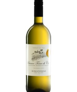Tollo, Borgo Venna – 2019 Terre di Chieti IGP Bianco (Vino Bianco) – cl 100 x 1 bottiglia vetro