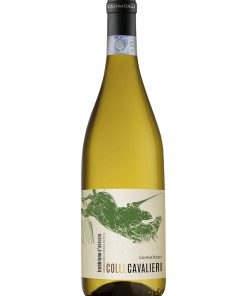 Tollo, Colle Cavalieri – 2021 Trebbiano d’Abruzzo DOP (Vino Bianco) – cl 75 x 1 bottiglia vetro