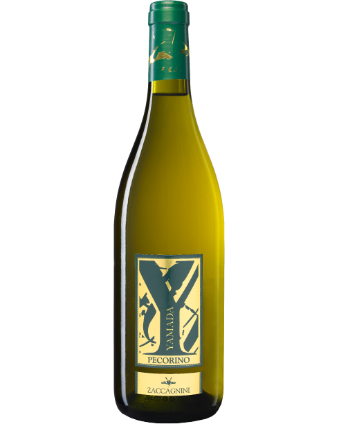 Zaccagnini, Yamada – 2020 Abruzzo DOC Pecorino (Vino Bianco) – cl 75 x 1 bottiglia vetro