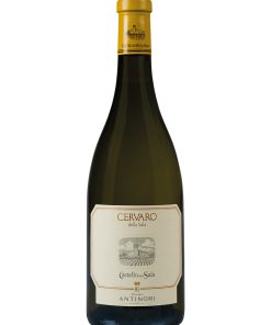 Castello della Sala, Cervaro della Sala – 2021 Umbria IGT (Vino Bianco) – cl 75 x 1 bottiglia vetro