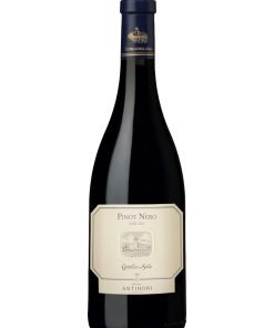 Castello della Sala, Pinot Nero della Sala – 2021 Umbria IGT (Vino Rosso) – cl 75 x 1 bottiglia vetro