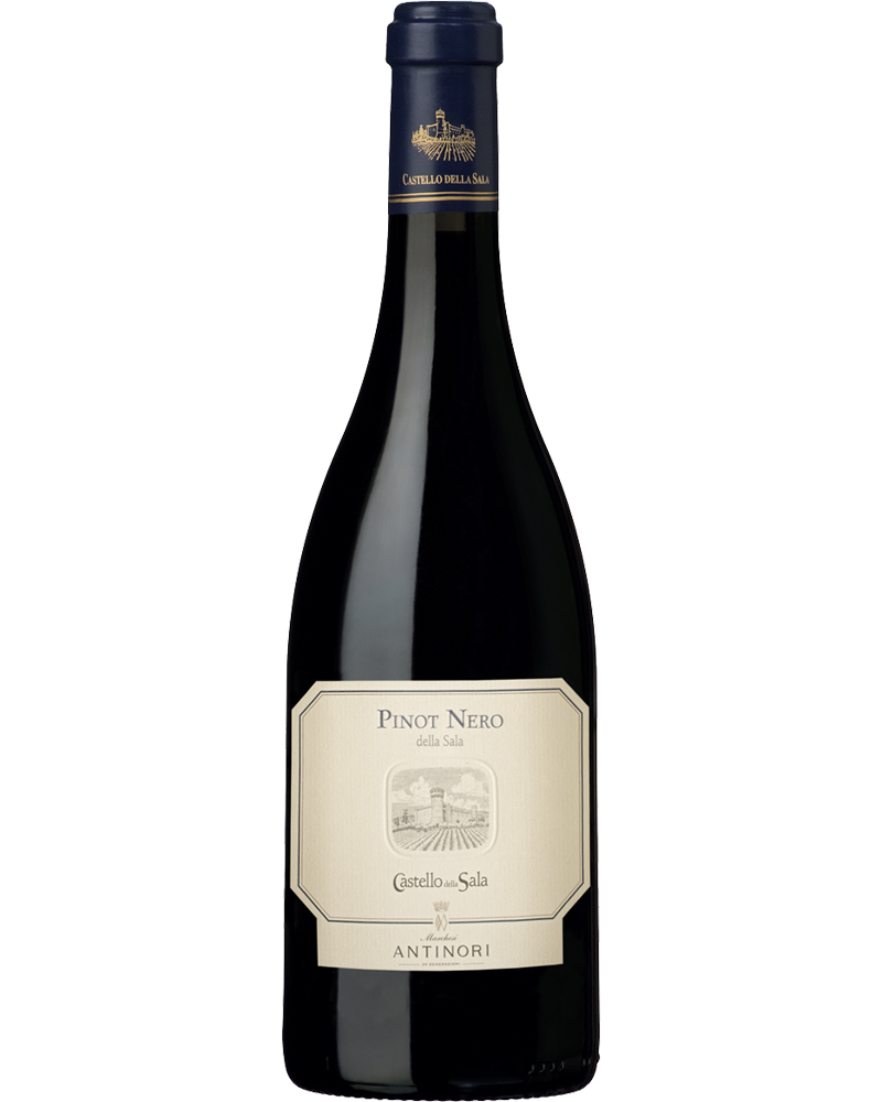 Castello della Sala, Pinot Nero della Sala – 2021 Umbria IGT (Vino Rosso) – cl 75 x 1 bottiglia vetro