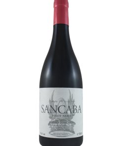 Franchetti, Sancaba – 2021 Toscana IGT Pinot Nero (Vino Rosso) – cl 75 x 1 bottiglia vetro