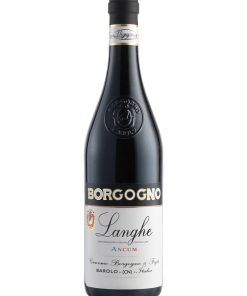 Borgogno, Ancum Biologico – 2022 Langhe DOC Dolcetto (Vino Rosso) – cl 75 x 1 bottiglia vetro