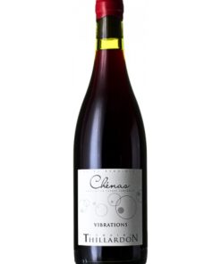 Le Clos des Treilles, Nicolas Reaus Attention Chenin Mechant – 2023 Anjou AOC (Vino Bianco) – cl 75 x 1 bottiglia vetro