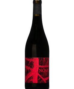 Noah, Rossonoah – 2023 Coste della Sesia DOC (Vino Rosso) – cl 75 x 1 bottiglia vetro