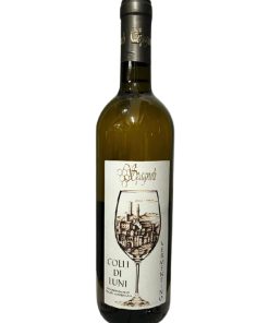Andrea Spagnoli – 2023 Colli di Luni DOC Vermentino (Vino Bianco) – cl 75 x 1 bottiglia vetro