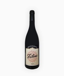 BRICCO MAIOLICA FILIUS LANGHE MERLOT DOC