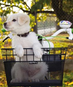 Cesto BRN Fido per Trasporto Animali