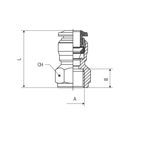 AIGNEP RACCORDO ARIA COMPRESSA FILETTATO FEMMINA DIRITTO INNESTO RAPIDO 50030 - immagine 3